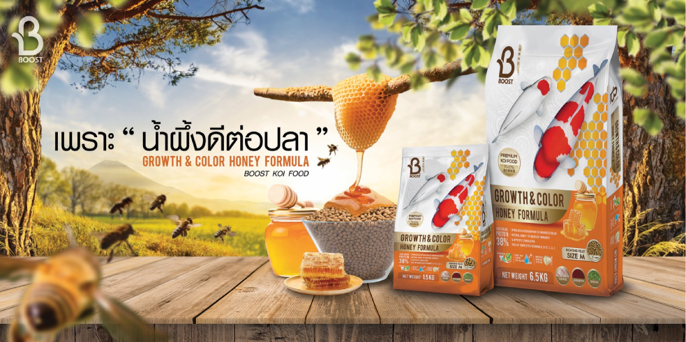 แนะนำอาหารตามสายพันธุ์ปลาคาร์ฟ Boost Koi Growth & Color Honey Formula - อาหารปลาคาร์ฟผสมสูตรน้ำผึ้ง เร่งโต เร่งสี ด้วยวัตถุดิบธรรมชาติ ในรูปแบบเม็ดลอย นวัตกรรมอาหารปลาที่ใช้น้ำผึ้งธรรมชาติเป็นส่วนผสมหลักเพื่อกระตุ้นความอยากอาหารและเสริมภูมิคุ้มกัน มาในรูปแบบเม็ดลอยที่มีระดับโปรตีน 38% ผสมผสานวัตถุดิบเร่งโตและเร่งสีจากธรรมชาติ ช่วยให้ปลาที่กินยากกลับมาร่าเริงกินเก่งขึ้น อุดมด้วยวิตามินที่มีประโยชน์ ทั้งวิตามิน D, B-12, C, A, E พร้อมบำรุงให้ผิวพรรณชุ่มชื้นเงางามและช่วยให้แผลตามตัวปลาหายเร็วขึ้นด้วยคุณสมบัติจากน้ำผึ้ง
