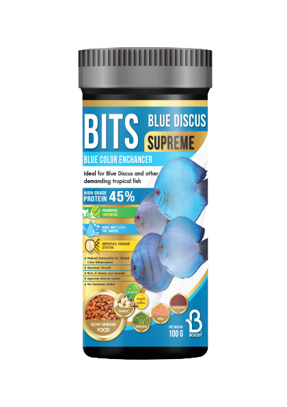 อาหารปลาปอมปาดัวร์ BITS BLUE DISCUS SUPREME BLUE COLOR ENHANCER สูตรเร่งสีฟ้าสำหรับปลาปอมปาตัวร์โดยเฉพาะ ยกระดับความงามของปลาปอมปาดัวร์กลุ่มสีฟ้า สีน้ำเงิน และสีเทอร์ควอยซ์ให้สวยสะกดสายตา ด้วยอาหารสูตรเฉพาะที่ออกแบบมาเพื่อดึงเม็ดสีน้ำเงินให้เข้มจัดและสว่างใสเป็นพิเศษ โดดเด่นด้วยสารสกัดจาก แคโรทีนอยด์ธรรมชาติ ที่ผสานพลังร่วมกับ สาหร่ายสไปรูลิน่า