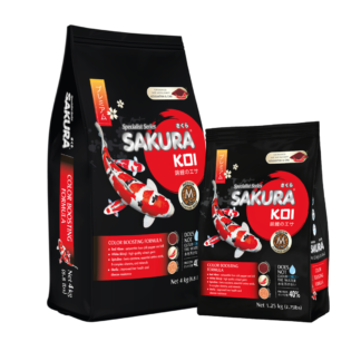 ซากุระโค่ย อาหารปลาคาร์ฟ SAKURA KOI สูตร เร่งสี แบบเร่งด่วน โปรตีน40% เหมาะสำหรับ โคฮากุ โชว่า ซันเก้