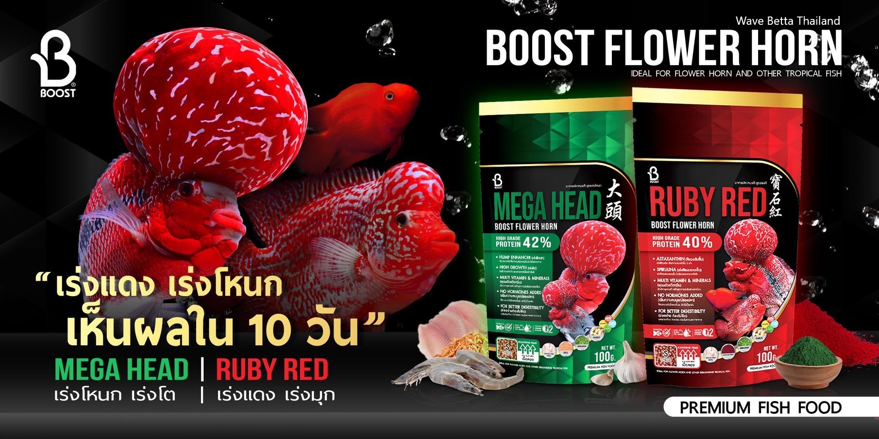 อาหารปลาหมอสี Boost Flower Horn สูตร Mega Head อาหารปลาหมอสี เร่งโต เร่งโหนก สวยขึ้นใน 10 วัน (เม็ดลอย) สูตรเร่งโต เร่งโหนก เหมาะสำหรับปลาหมอสีฟลาวเวอร์ฮอร์น ที่ต้องการเร่งโหนก และปลาสวยงามทั่วไป อุดมด้วยวิตามินที่ช่วยให้ผิวปลาสุขภาพดี โปรตีนสูงถึง 42% มีส่วนผสมของกระเทียมที่ช่วยย่อย และกระตุ้นความอยากอาหาร ส่วนผสมหลักมาจากโปรตีนปลาทะเลคุณภาพเยี่ยมและสาหร่ายสไปรูลิน่าที่นอกจากจะเร่งหัวแล้วยังช่วยให้สุขภาพโดยรวมของปลาแข็งแรง ผิวพรรณสดใส เหมาะมากสำหรับปลาช่วงวัยกำลังขุนโครงสร้างที่ต้องการสารอาหารแบบเน้น ๆ