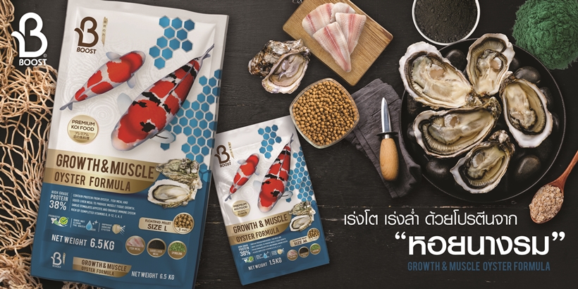 อาหารปลาคาร์ฟ Boost Koi Growth & Muscle Oyster Formula อาหารปลาคาร์ฟสูตรหอยนางรม เร่งโต เร่งล่ำ ในรูปแบบเม็ดลอย กุญแจสำคัญที่ช่วยปั้นปลาคาร์ฟให้ล่ำสัน บึกบึน ได้ฟอร์มสวยระดับแชมป์เหมือนฟาร์มชั้นนำในญี่ปุ่น ด้วยสูตรพิเศษที่คัดสรร "หอยนางรม" วัตถุดิบคุณภาพสูงมาเป็นหัวใจหลักในการเร่งโต อุดมไปด้วยกรดไขมันดี Omega-3 และ HDL ผสานโปรตีนเข้มข้นจากเนื้อปลาและตับปลาหมึก ช่วยสร้างมัดกล้ามเนื้อให้หนาแน่น โครงสร้างใหญ่ล่ำ สวยสมส่วนอย่างเป็นธรรมชาติ ให้ปลาของคุณเติบโตได้เต็มศักยภาพอย่างรวดเร็ว