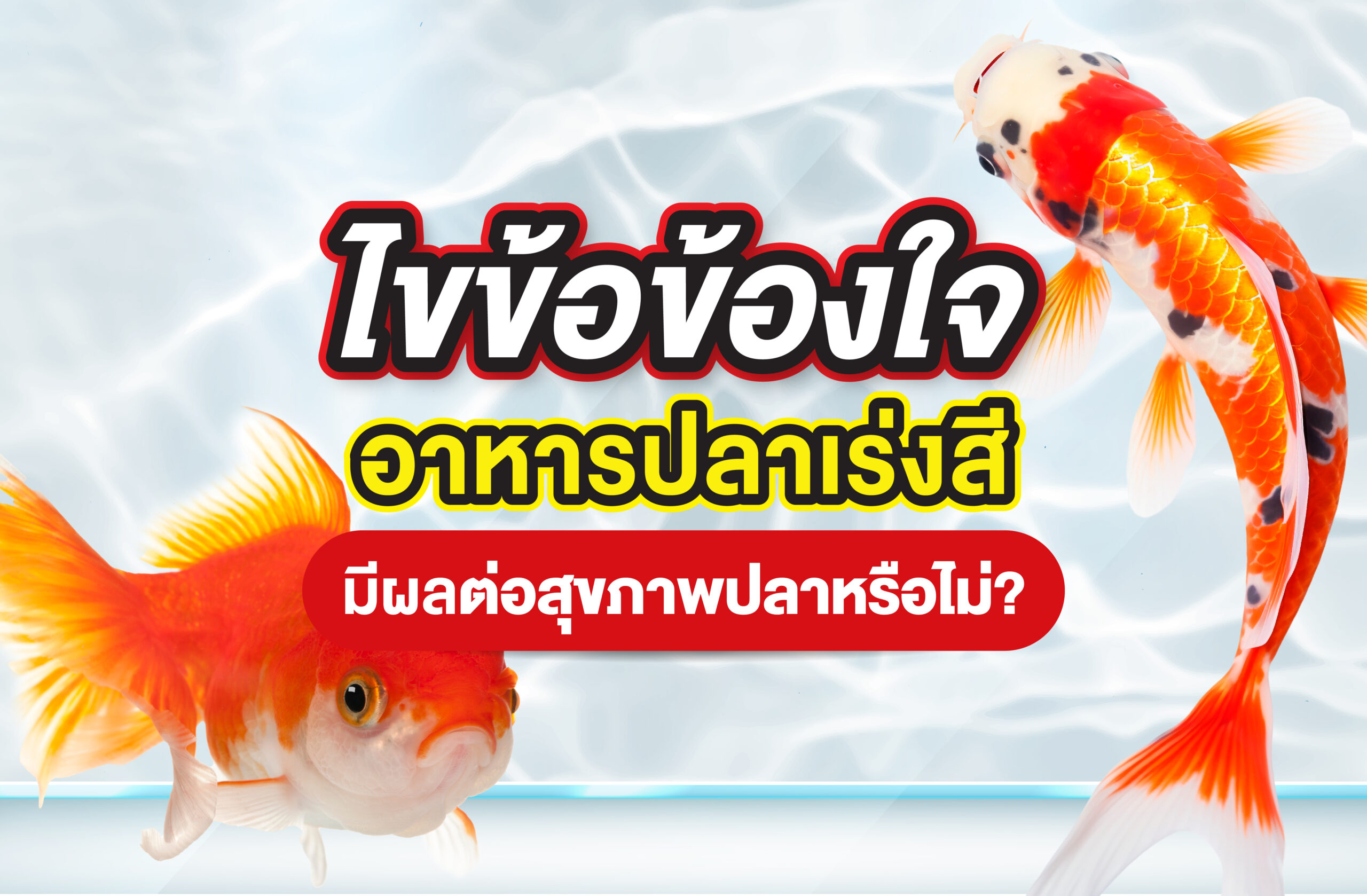 ไขข้อข้องใจ อาหารปลาเร่งสีมีผลต่อสุขภาพปลาหรือไม่?