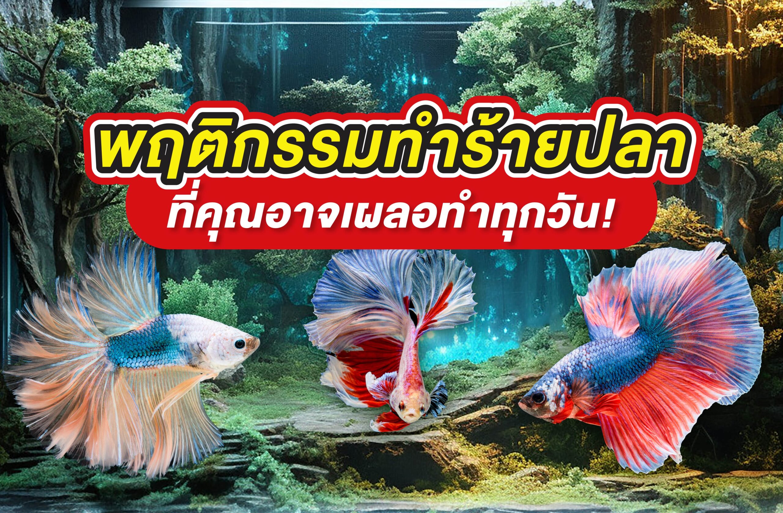 พฤติกรรมทำร้ายปลาที่คุณอาจเผลอทำทุกวัน!