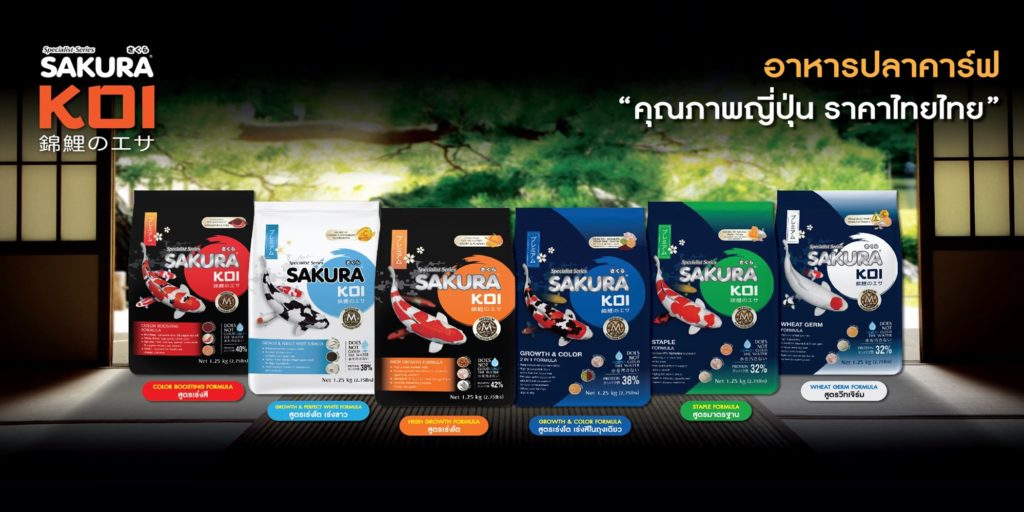 สูตรอาหารปลาเพื่อเพิ่มภูมิต้านทานโรค แบบเน้น สุขภาพแข็งแรง ไม่ป่วยง่าย เจริญเติบโตดี แบบตัวเดียวจบ ขอแนะนำอาหารปลาสูตรพิเศษจากแบรนด์ “อาหารปลาซากุระโค่ย” ด้วยสารอาหารจากธรรมชาติ เช่น เบต้ากลูแคน กระเทียม ขมิ้นชัน วิตามินซี