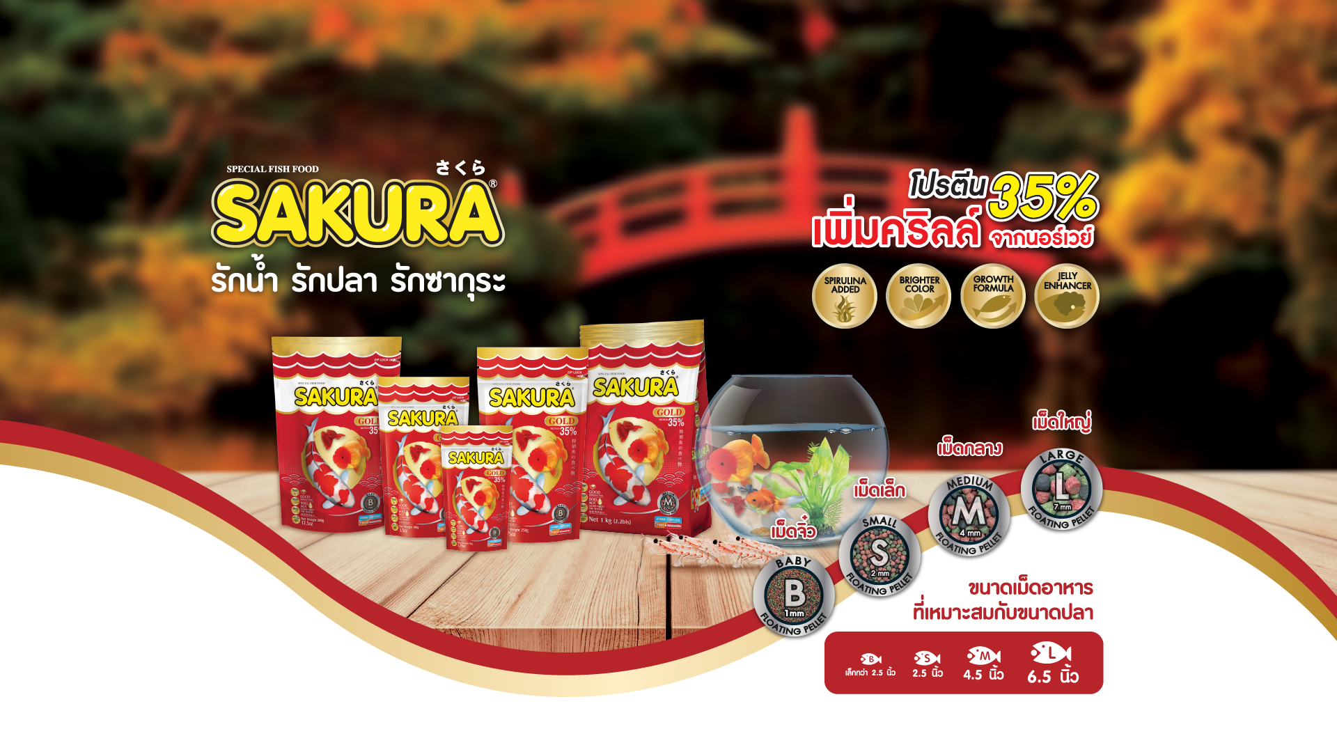 การป้องกัน ปลาทองมีคราบขาว ที่ดีที่สุดคือการไม่ละเลยรายละเอียดเล็ก ๆ น้อย ๆ เช่นเรื่องของอาหาร เพราะการเลือกอาหารที่มีคุณภาพเป็นกุญแจสำคัญที่ทำให้ปลาทองมีสุขภาพดี สีสันสดใส และพร้อมสำหรับการเพาะพันธุ์อย่างสมบูรณ์ที่สุด ขอแนะนำ Sakura Gold (อาหารปลาซากุระโกลด์) ซึ่งเป็นอาหารปลาที่อยู่คู่คนรักปลามานาน จุดเด่นคือมีโปรตีนที่เหมาะสมและสารอาหารครบถ้วน ช่วยให้ปลาทองเติบโตได้รูปทรงที่สวยงาม