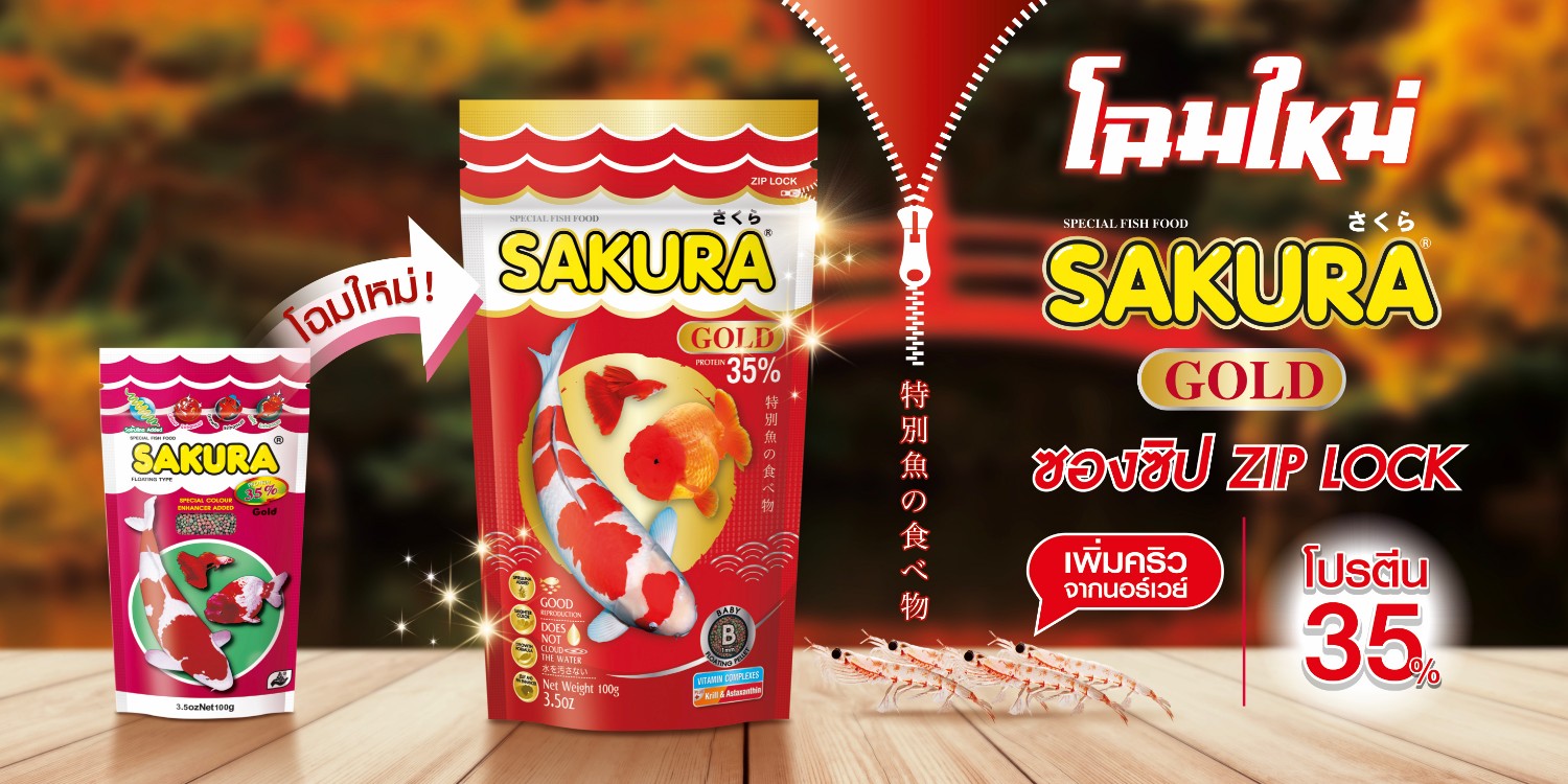 อาหารปลาซากุระโกลด์ เหมาะกับสายพันธุ์ปลาทอง ทุกสายพันธุ์เร่งโต เร่งสี เร่งวุ้น เม็ดสามสี โปรตีน 35% อาหารปลาในตำนานที่เป็นสูตร Complete Formula เหมาะสำหรับปลาทองและปลาสวยงามทุกประเภท โดดเด่นด้วยเม็ดอาหาร 3 สีที่รวมเอาคุณประโยชน์จากวัตถุดิบต่างชนิดไว้ในถุงเดียว ได้แก่ เม็ดสีแดงจากคริลล์ช่วยเร่งสี เม็ดสีเขียวจากสไปรูลิน่าช่วยเร่งวุ้น และเม็ดสีดำจากตับปลาหมึกช่วยเร่งโต เป็นสูตรที่สมดุลและปลอดภัยสำหรับการให้ในทุกวัน