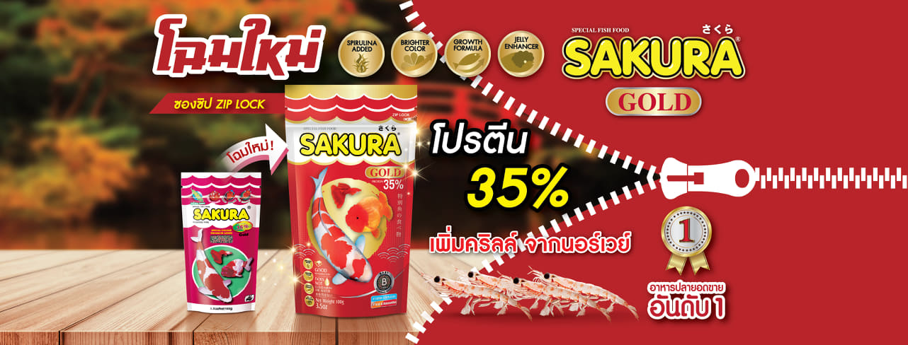 ปลาไม่กินอาหาร อาจเกิดจากปลาเบื่ออาหาร แก้ได้ด้วย อาหารปลาซากุระโกลด์