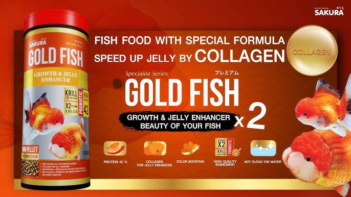 อาหารปลาเร่งวุ้น SAKURA SPECIAL GOLDFISH อาหารปลาสูตรพิเศษ ที่พัฒนาเพื่อปลาทองโดยเฉพาะ เร่งการเจริญเติบโต เร่งสร้างวุ้น เปลี่ยนปลาให้สวยขึ้นกว่าเดิม 2 เท่า