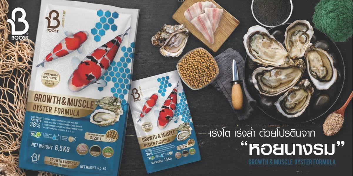แนะนำอาหารตามสายพันธุ์ปลาคาร์ฟ Boost Koi Growth & Muscle Oyster Formula อาหารปลาคาร์ฟสูตรหอยนางรม เร่งโต เร่งล่ำ ในรูปแบบเม็ดลอย สูตรลับเพื่อความล่ำระดับแชมป์ด้วยส่วนผสมจากสุดยอดวัตถุดิบอย่างหอยนางรมที่ฟาร์ม ปลาคาร์ฟจากญี่ปุ่นเลือกใช้ อุดมไปด้วยแร่ธาตุสังกะสีและแคลเซียม มีโปรตีนสูงถึง 38% เน้นการสร้างมวลกล้ามเนื้อและเสริมสร้างโครงสร้างกระดูกให้แข็งแกร่งอย่างรวดเร็ว ช่วยให้ปลาดูตัวหนา ฟอร์มสวย เป็นสูตรยอดนิยมสำหรับผู้ที่ต้องการปั้นปลาให้มีรูปร่างสมบูรณ์แบบเพื่อการประกวด