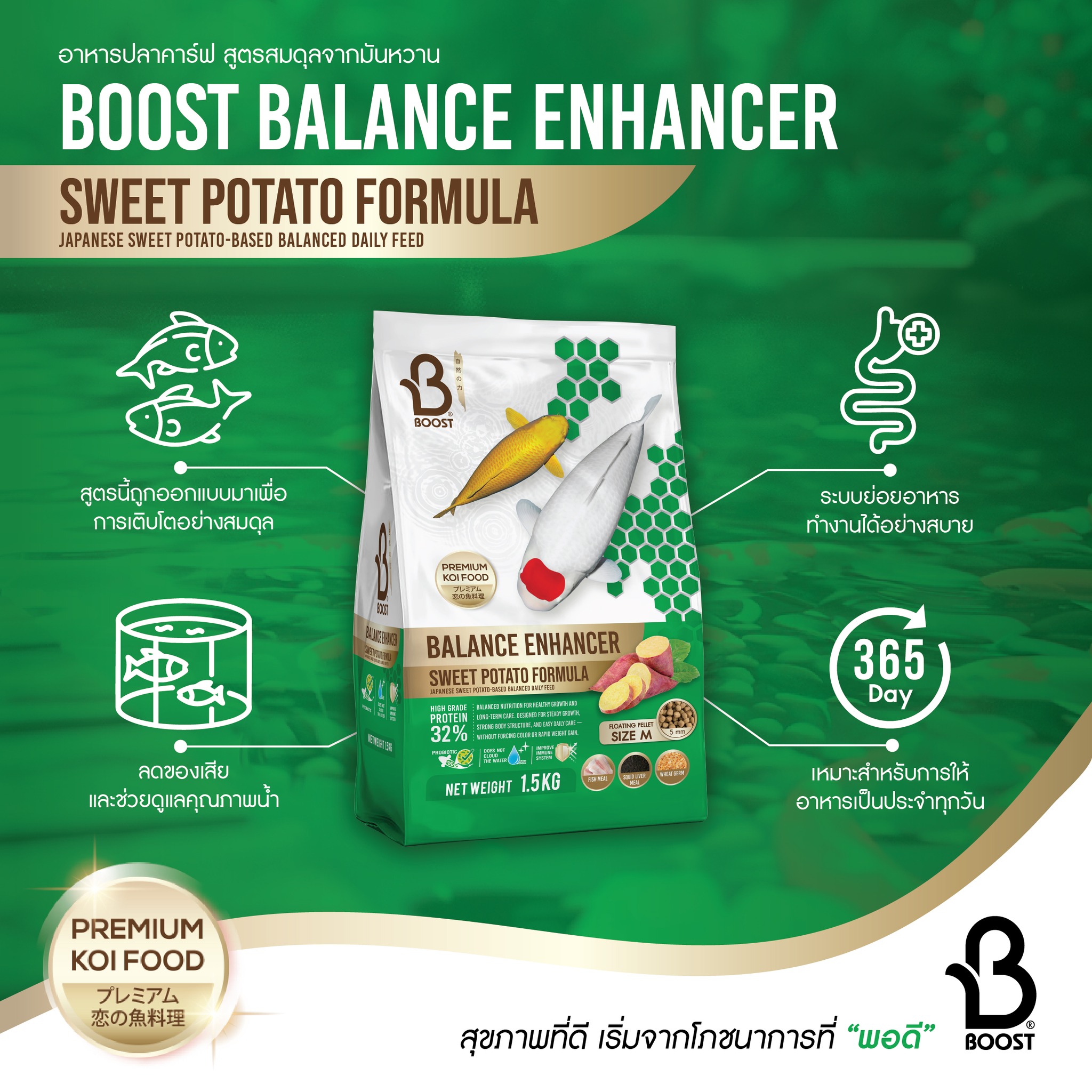 แนะนำอาหารตามสายพันธุ์ปลาคาร์ฟ Boost Koi Balance Enhancer Sweet Potato Formula อาหารปลาคาร์ฟ สูตรสมดุลจากมันหวาน การเลี้ยงปลาคาร์ฟไม่ใช่แค่เรื่องโตเร็ว แต่ต้องโตแบบมีสุขภาพที่ดี ซึ่งเราสามารถเริ่มต้นจากโภชนาการที่ดีได้เลย มันหวาน คือแหล่งพลังงานจากธรรมชาติ ช่วยให้ปลานำพลังงานไปใช้ได้อย่างมีประสิทธิภาพ โดยไม่สร้างภาระต่อระบบย่อยอาหาร สูตรอาหารให้เหมาะกับการเลี้ยงจริง ไม่เร่งผลลัพธ์เกินความจำเป็น แต่เน้นดูแลปลาในระยะยาว แข็งแรงอย่างยั่งยืน