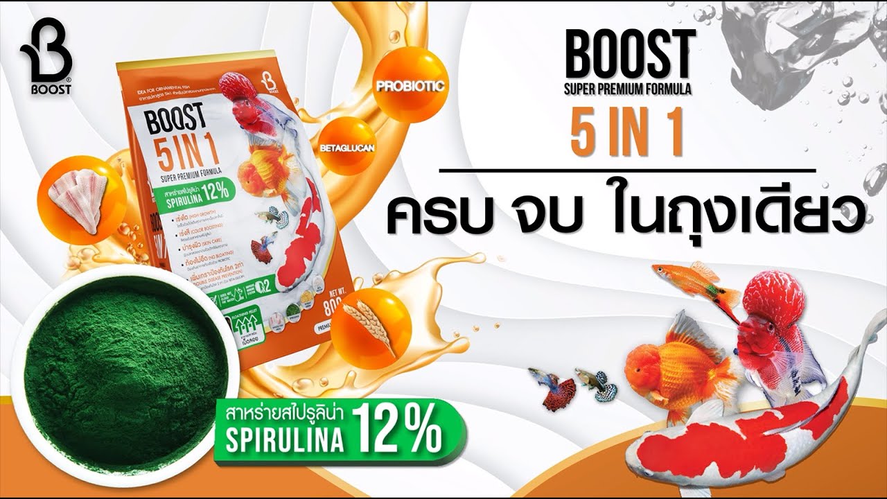 Boost 5 in 1 อาหารสายพันธุ์ปลาทอง สูตรเร่งโต เร่งสี บำรุงผิว ท้องไม่อืด เพิ่มเกราะป้องกันโรค ผสมสาหร่ายสไปรูลิน่า 12% ที่สุดของอาหารปลาที่รวบรวม 5 ความต้องการไว้ในหนึ่งเดียว ทั้งเร่งโตด้วยโปรตีนปลาชั้นดี โปรตีนสูง 38% เร่งสีด้วยสไปรูลิน่าสูงถึง 12% บำรุงผิวด้วยวีทเจิร์ม ป้องกันท้องอืดด้วยโปรไบโอติก และเสริมภูมิคุ้มกัน 2 เท่าด้วยเบต้ากลูแคน เหมาะสำหรับผู้ที่ต้องการการดูแลระดับพรีเมียมเพื่อให้ปลาสวยงามสมบูรณ์แบบในทุกมิติ