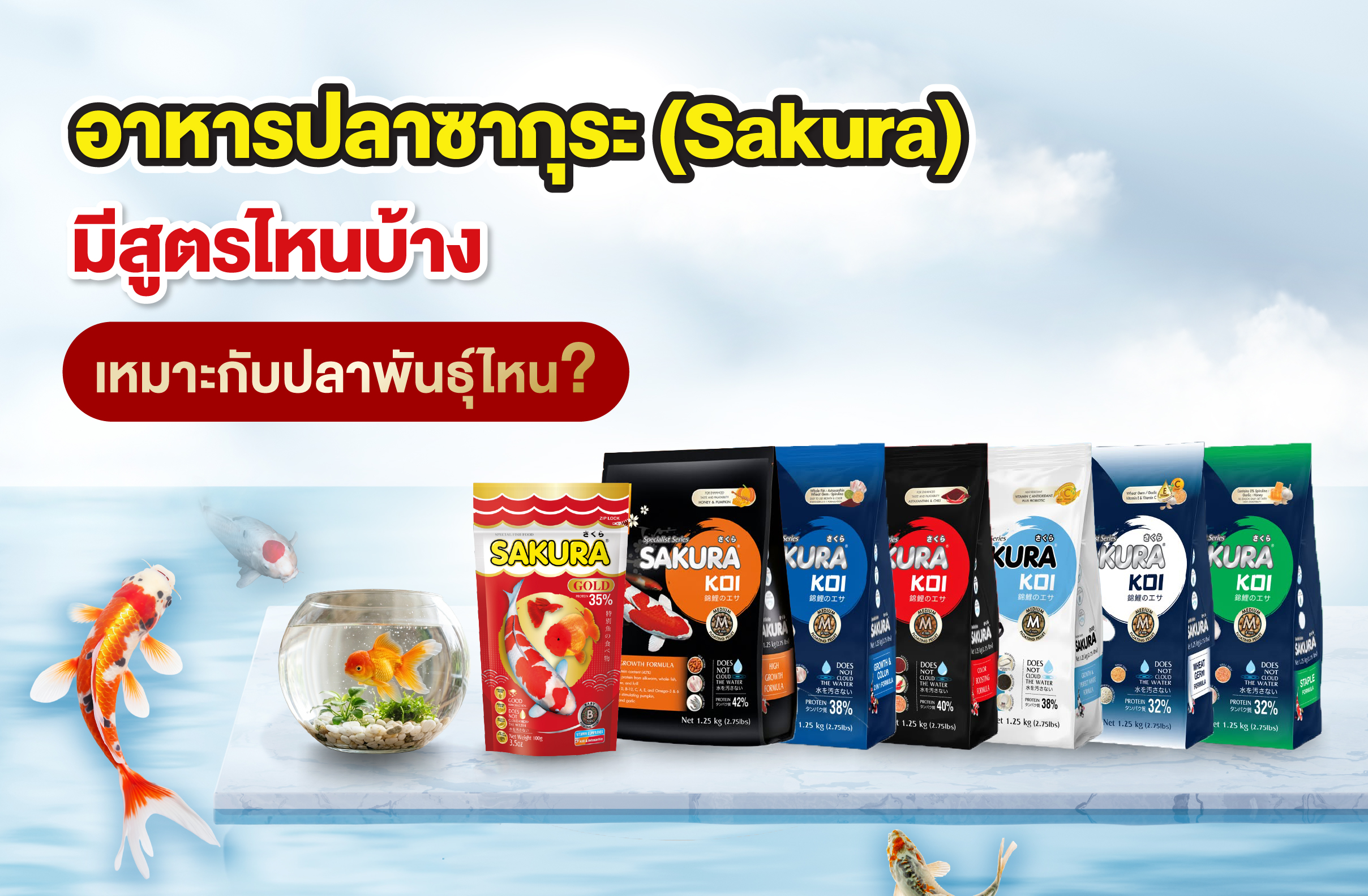 อาหารปลาซากุระ (Sakura) มีสูตรไหนบ้าง เหมาะกับปลาพันธุ์ไหน?