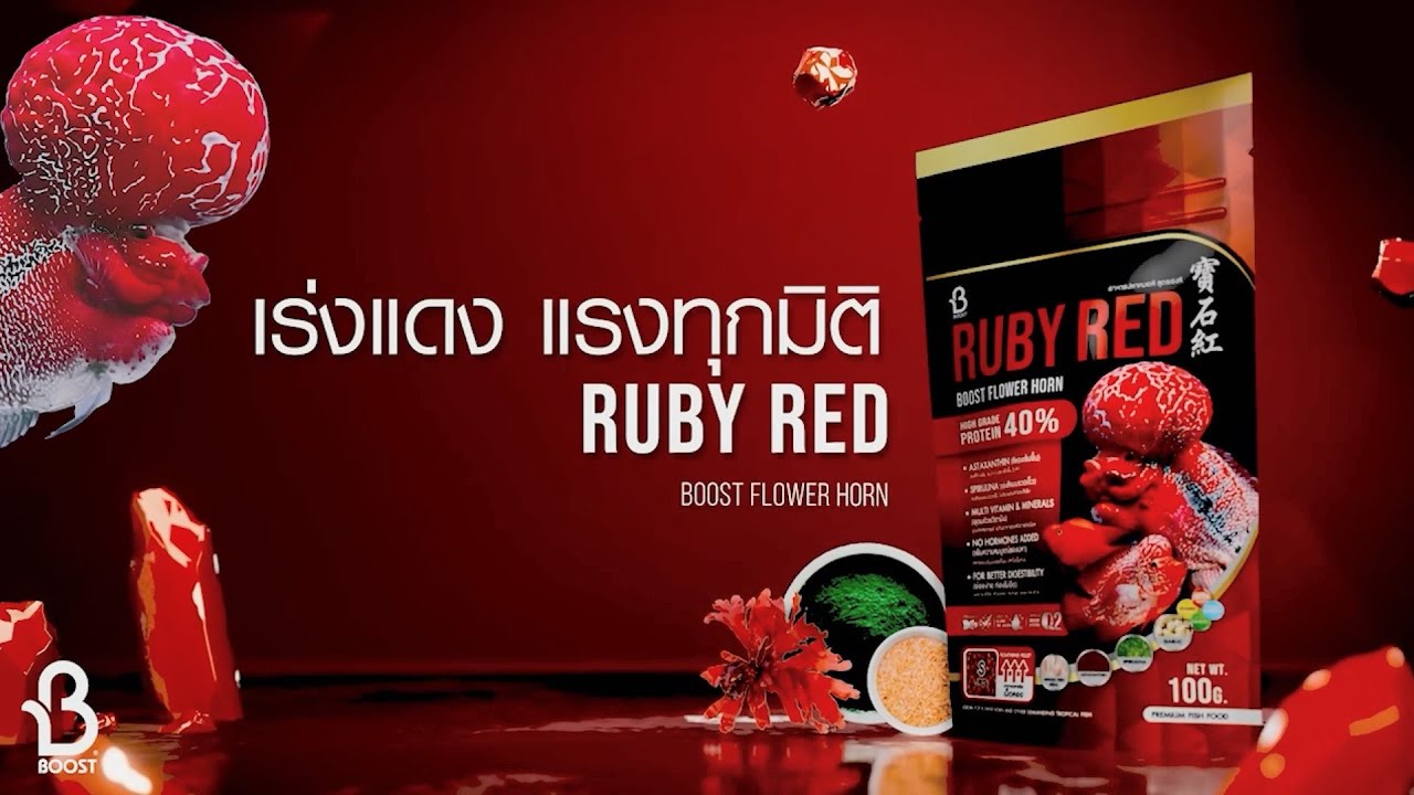 อาหารปลาหมอสี Boost Flower Horn สูตร Ruby Red อาหารปลาหมอสี เร่งแดง เร่งมุก (เม็ดลอย) สูตรเร่งสีขั้นสุด เพิ่มความแดง 2 เท่า ออกแบบมาเพื่อสายเร่งแดง เร่งมุกโดยเฉพาะ เหมาะสำหรับปลาหมอสีฟลาวเวอร์ฮอร์นและปลาสวยงาม ที่ต้องการเร่งสีขั้นสุด โปรตีนสูงถึง 40% จุดเด่นอยู่ที่การใช้สารเร่งสีที่ดีที่สุดทั้ง 3 ชนิดอย่าง แอสตาแซนธินเข้มข้น ผสานกับสาหร่ายสไปรูลิน่าและคริลล์คุณภาพสูง ช่วยกระตุ้นเม็ดสีแดงให้สดขึ้นอย่างเห็นได้ชัด จึงไม่ทำร้ายผิวปลา ปราศจากฮอร์โมนลดโอกาสเป็นหมันในปลาหมอสีครอสบรีด