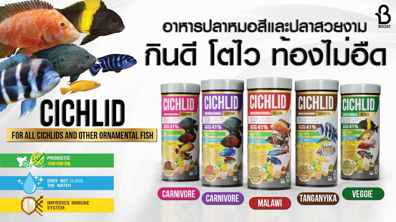 อาหารปลาหมอสี BOOST CICHLID STICKS Growth & Color Formula Carnivore อาหารปลาหมอสีกินเนื้อไซส์ใหญ่ (เม็ดลอย), Boost Cichlid Super Color Formula Malawi อาหารปลาหมอมาลาวี สูตรเร่งสี (เม็ดจมช้า), Boost Cichlid Staple Formula Veggie อาหารปลาหมอและปลาสวยงามสูตรพืช (เม็ดจมช้า), Boost Cichlid High Growth Formula Carnivore อาหารปลาหมอสีกินเนื้อ, Boost Cichlid Growth & Color Formula Tanganyika อาหารปลาหมอสีแทนกันยิกา กลุ่มกินเนื้อ (เม็ดจมช้า)