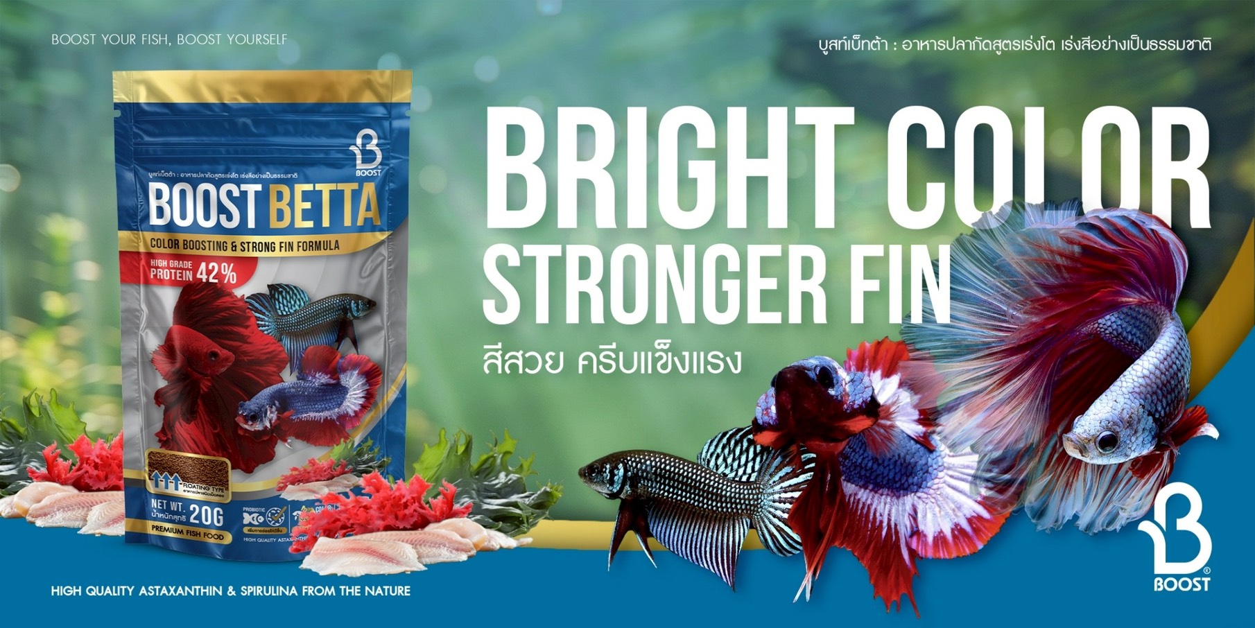 อาหารปลากัดจีน Boost Betta Color Boosting & Strong Fin Formula อาหารปลากัด สูตรใหม่เร่งโตเร่งสี เปิดตัวอาหารปลากัดสูตรใหม่ล่าสุด Boost Betta Color Boosting & Strong Fin Formula อาหารสูตรพรีเมียมที่รวมสุดยอดวัตถุดิบอย่างเนื้อปลา ตับปลาหมึก และหนอนไหม เพื่อจำลองมื้ออาหารธรรมชาติ เสริมประสิทธิภาพการเร่งสีด้วยสาหร่ายสไปรูลิน่าและเบต้าแคโรทีน ช่วยให้สีสันสดใสเงางาม พร้อมบำรุงโครงสร้างครีบและหางให้แข็งแรง ทรงสวย ไม่ฉีกขาดง่าย เสริมภูมิคุ้มกันให้ปลา